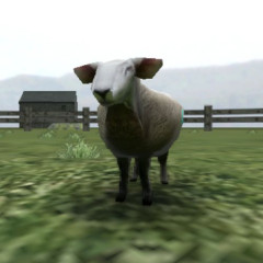 Crazy Cattle 3D