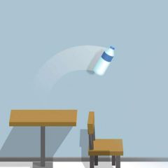 Flip Bottle